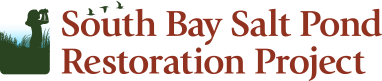 South Bay Salt Pond Restoration Project banner