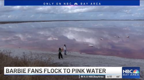 Image from story of people next to pink pond. Chyron: Barbie fans flock to pink water