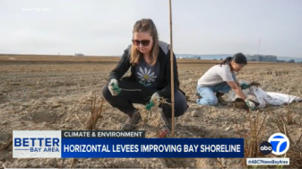 ABC 7 video footage of people planting a Ravenswood habitat transition zone