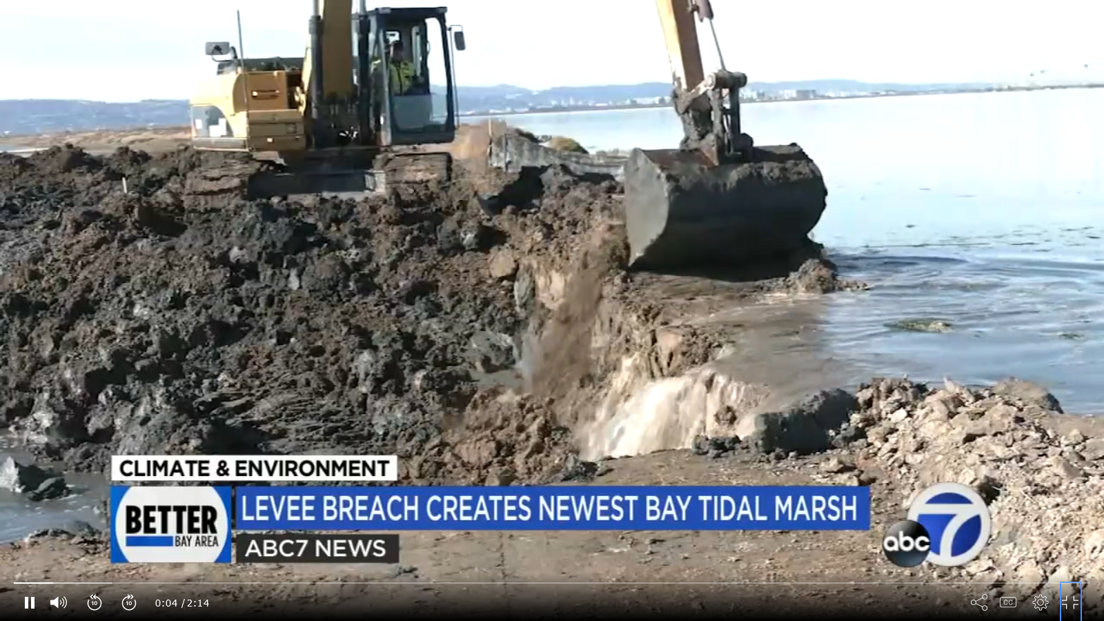 Levee breach creates new tidal marshland in San Francisco Bay 