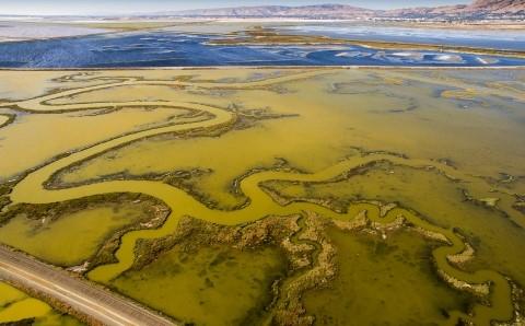 Aerial view of salt pond restoration in wetlands at Don Edwards San Francisco Bay National Wildlife Refuge. Credit: Ian Shive/Tandem