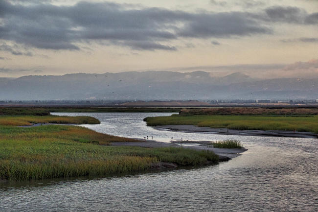 California State Coastal Conservancy - State of California