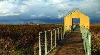 Alviso Marina County Park