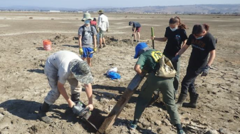 Volunteers hard at work on plover and tern habitat. Credit: SFBBO